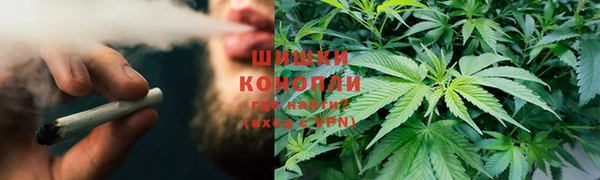 дурь Сатка