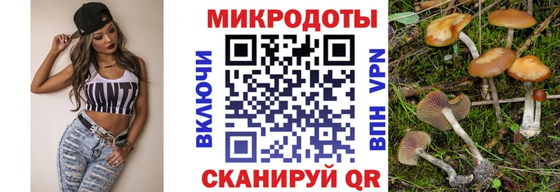 kraken ССЫЛКА  наркота  Никольское  Галлюциногенные грибы MAGIC MUSHROOMS 